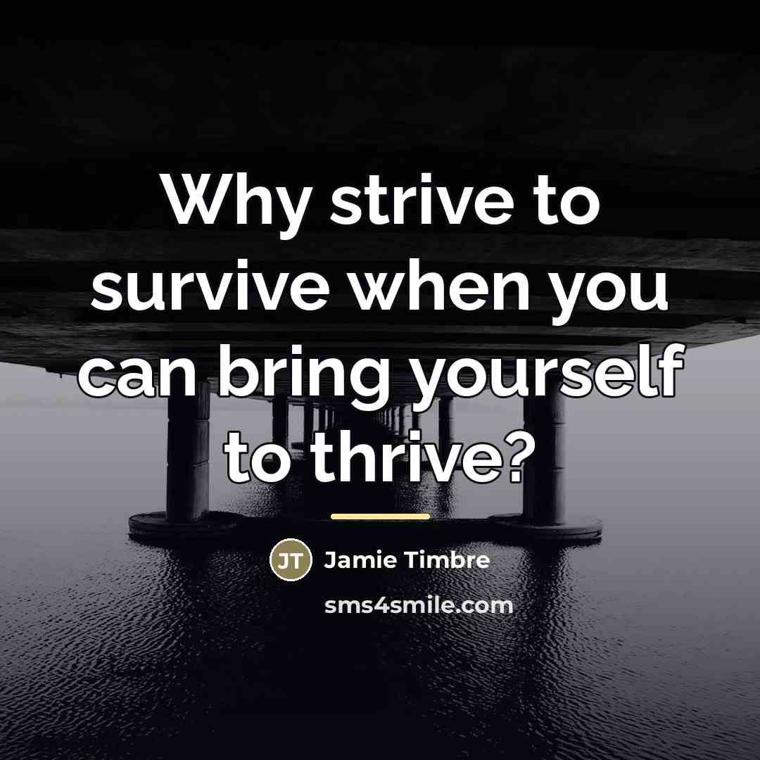 “Why strive to survive when you can bring yourself to…” quote by Jamie Timbre