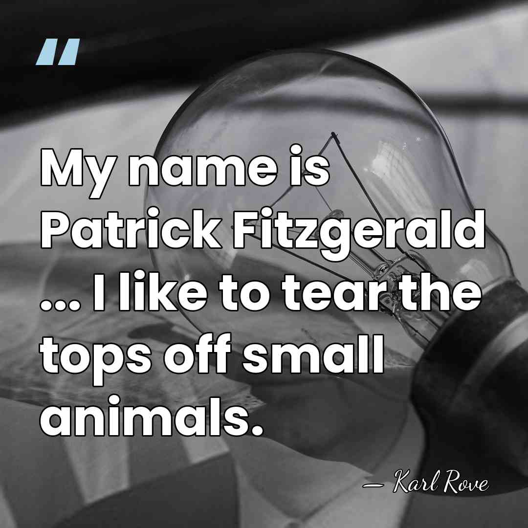 My name is Patrick Fitzgerald ... I like to tear the tops&hellip; - Karl Rove