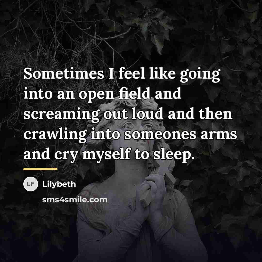 “Sometimes I feel like going into an open field and…” quote by Lilybeth