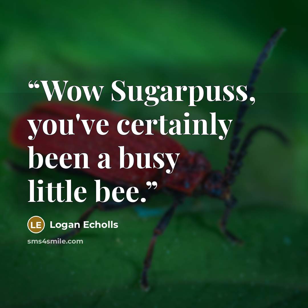 “Wow Sugarpuss, you've certainly been a busy little bee.” quote by Logan Echolls