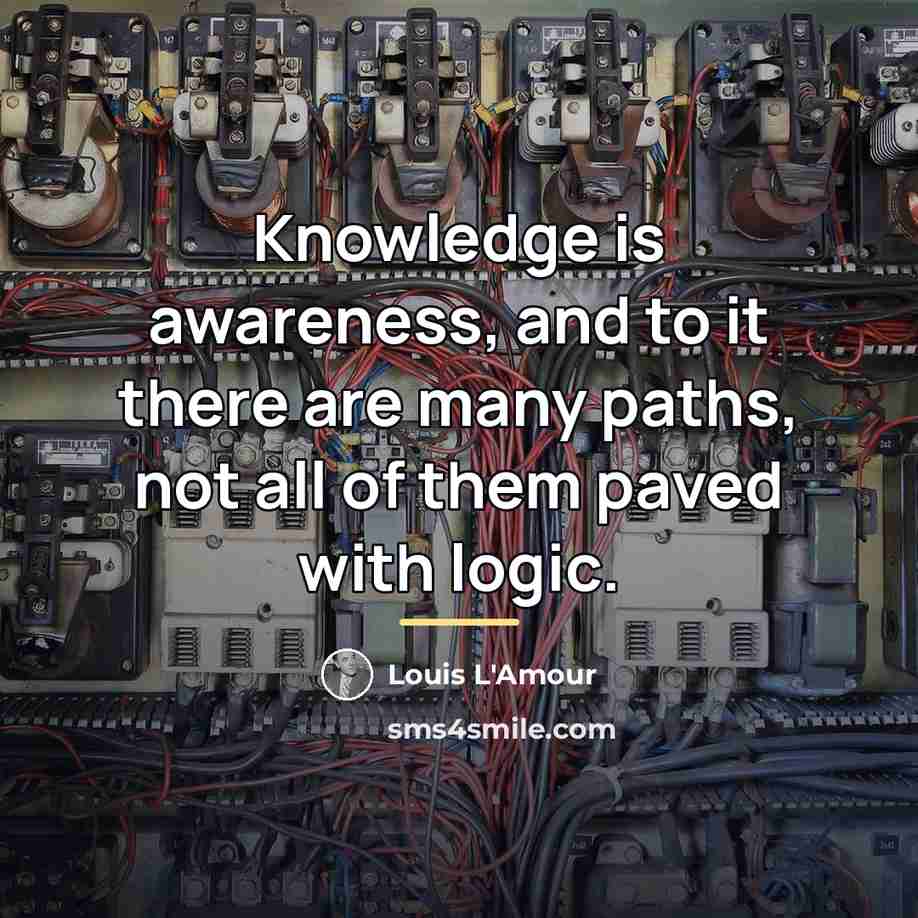 “Knowledge is awareness, and to it there are many paths,…” quote by Louis L'Amour
