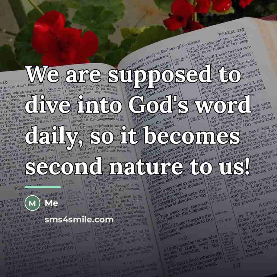 “We are supposed to dive into God's word daily, so…” quote by Me