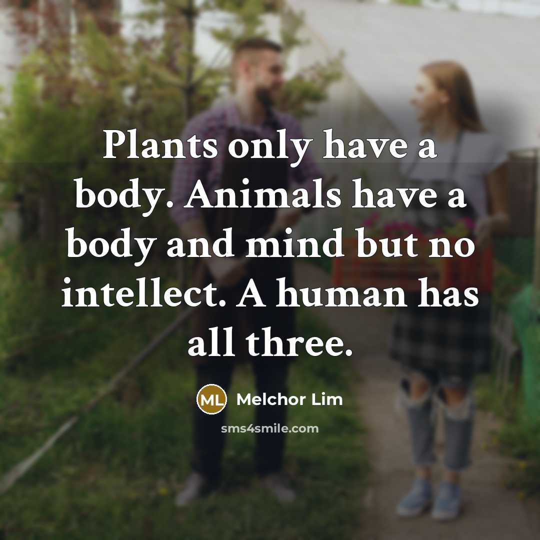 “Plants only have a body. Animals have a body and…” quote by Melchor Lim