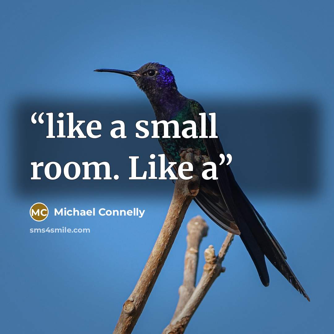 “like a small room. Like a” quote by Michael Connelly