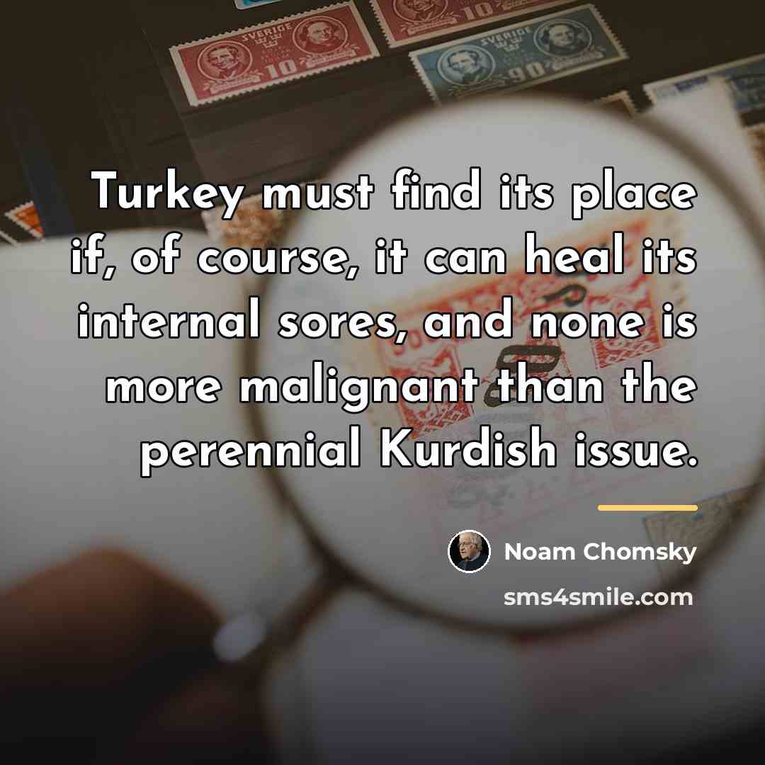 “Turkey must find its place if, of course, it can…” quote by Noam Chomsky