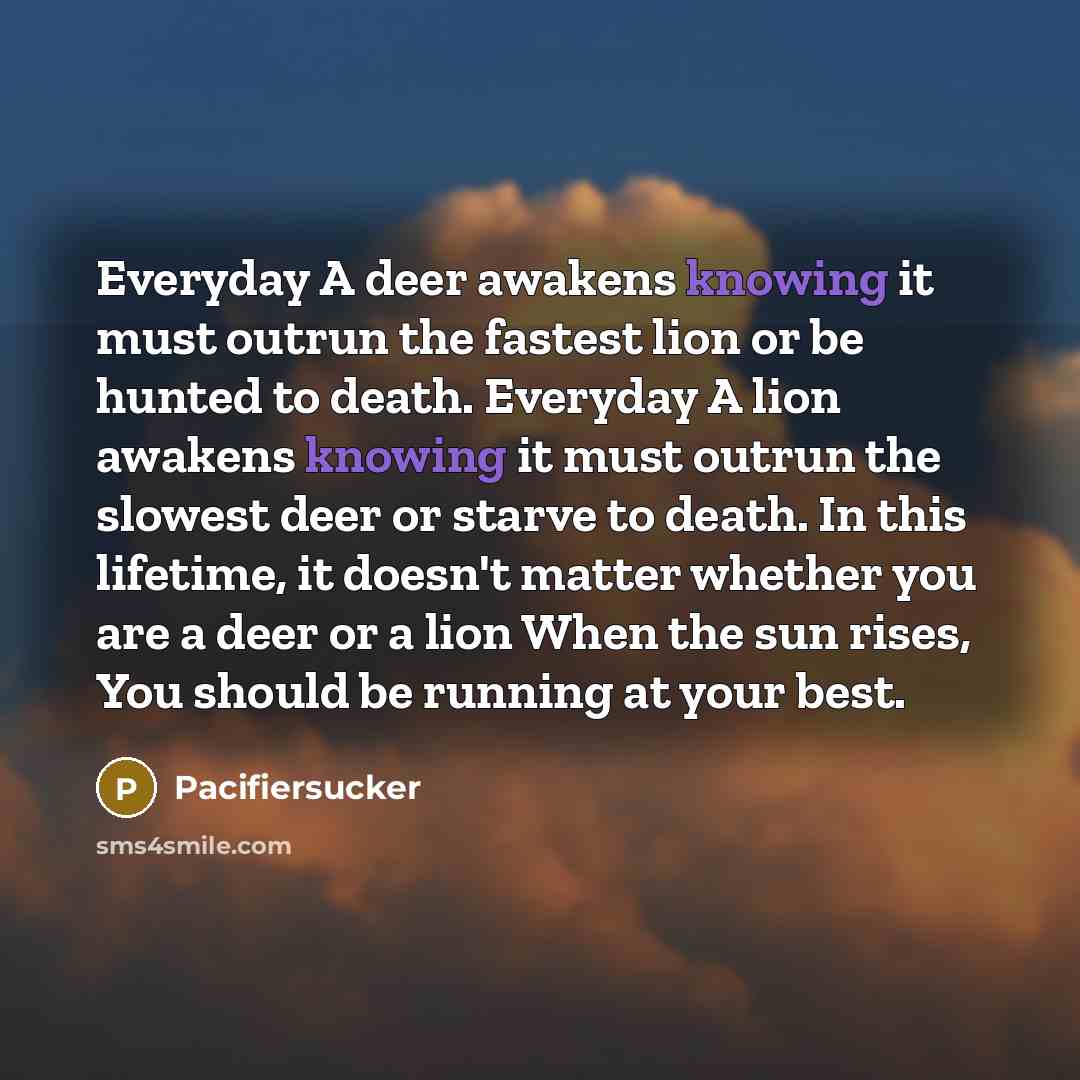 “Everyday A deer awakens knowing it must outrun the fastest…” quote by Pacifiersucker
