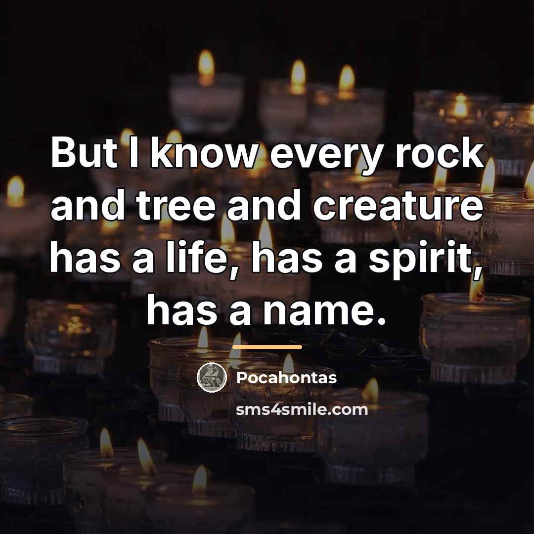 “But I know every rock and tree and creature has…” quote by Pocahontas