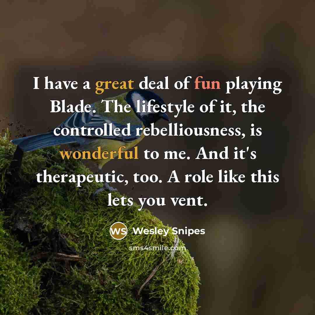 “I have a great deal of fun playing Blade. The lifestyle of it, the controlled rebelliousness, is wonderful to me. And it's therapeutic, too. A role like this lets you vent.” quote by Wesley Snipes