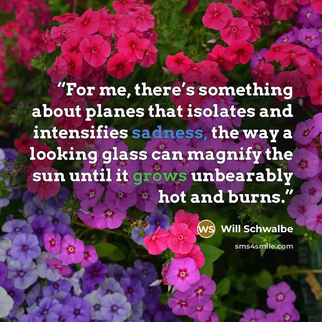 “For me, there’s something about planes that isolates and intensifies sadness, the way a looking glass can magnify the sun until it grows unbearably hot and burns.” quote by Will Schwalbe