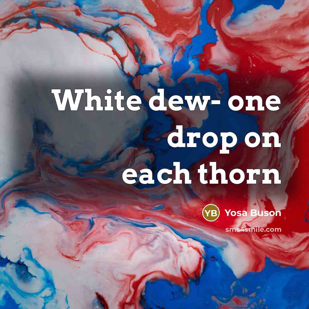 “White dew- one drop on each thorn…” quote by Yosa Buson
