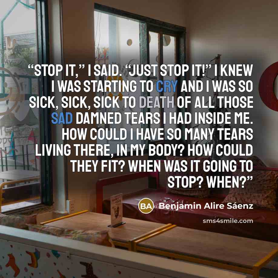 “Stop it,” I said. “Just stop it!” I knew I was starting to cry and I was so sick, sick, sick to death of all those sad damned tears I had inside me. How could I have so many tears living there, in my body? How could they fit? When was it going to stop? When?” quote by Benjamin Alire Sáenz