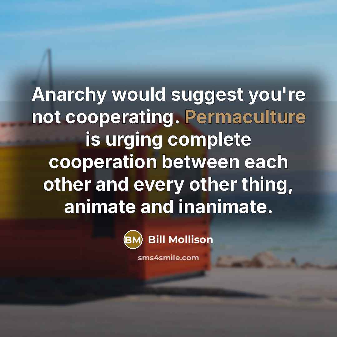 “Anarchy would suggest you're not cooperating. Permaculture is urging complete cooperation between each other and every other thing, animate and inanimate.” quote by Bill Mollison