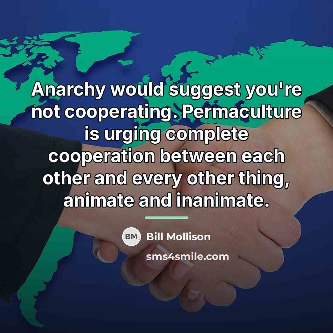 “Anarchy would suggest you're not cooperating. Permaculture is urging complete…” quote by Bill Mollison