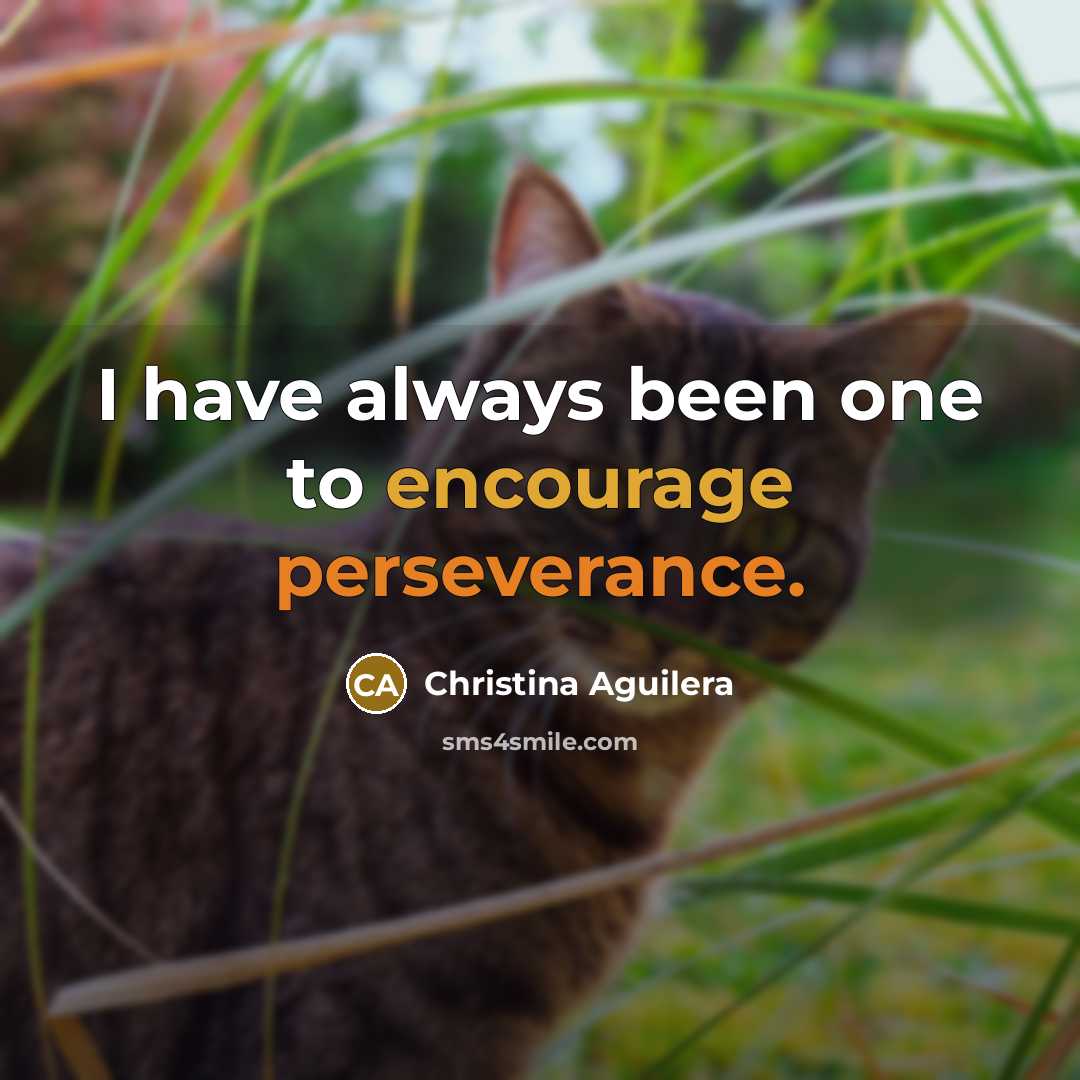 “I have always been one to encourage perseverance.…” quote by Christina Aguilera
