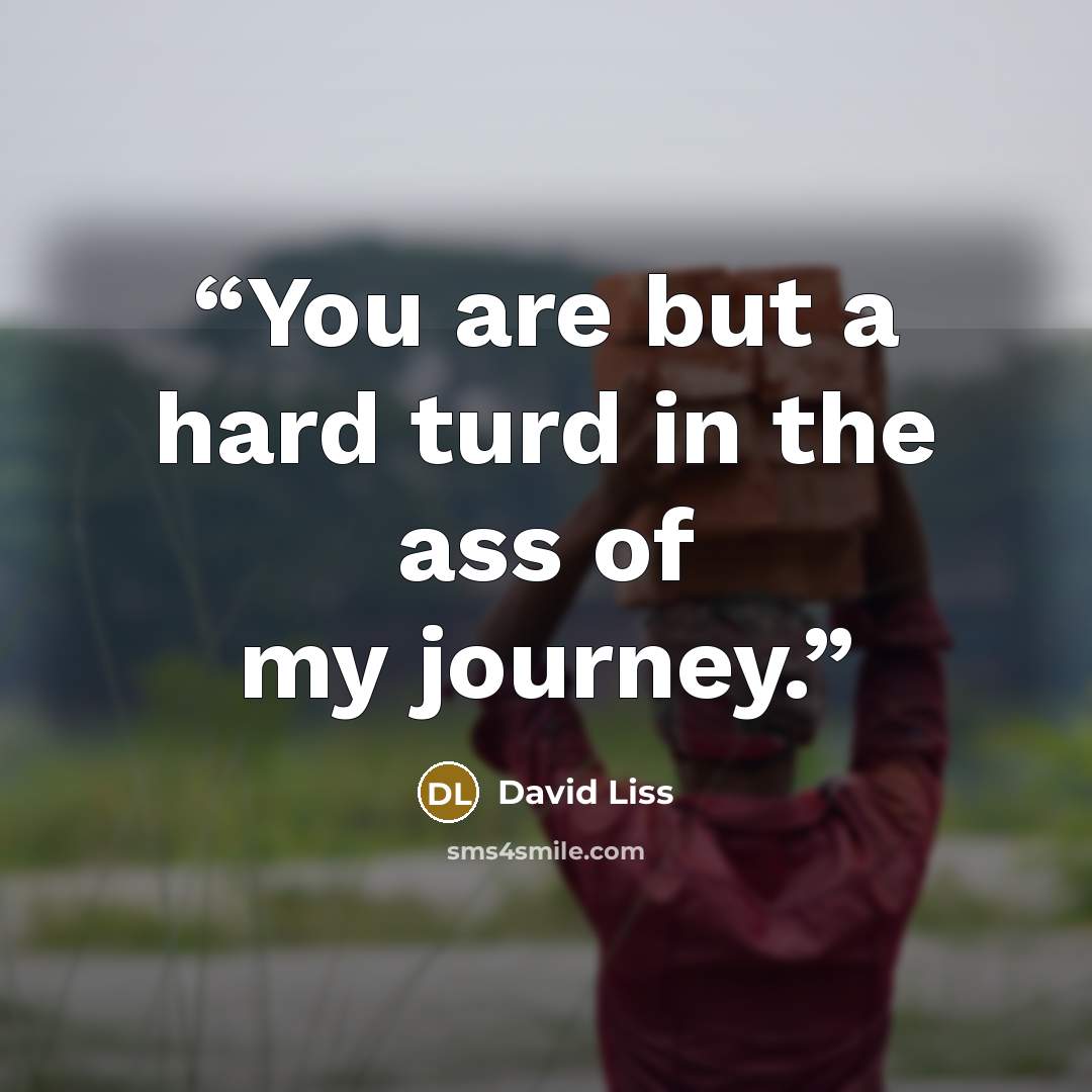 “You are but a hard turd in the ass of my journey.” quote by David Liss