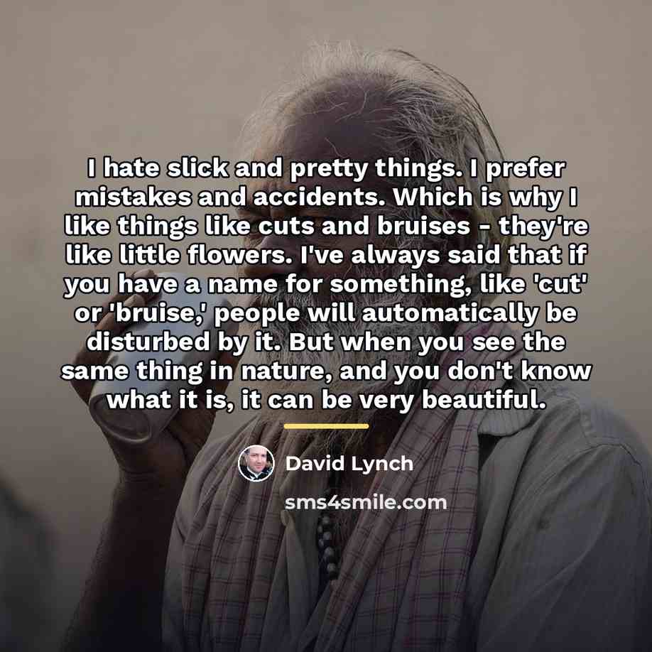 “I hate slick and pretty things. I prefer mistakes and…” quote by David Lynch