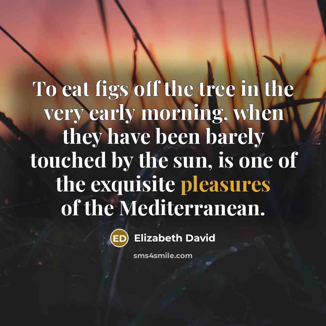 “To eat figs off the tree in the very early…” quote by Elizabeth David