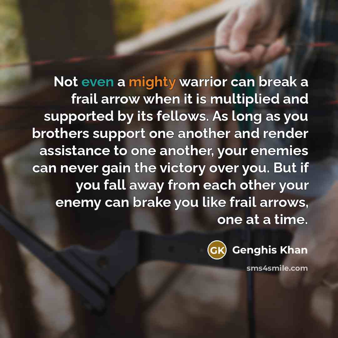 “Not even a mighty warrior can break a frail arrow…” quote by Genghis Khan