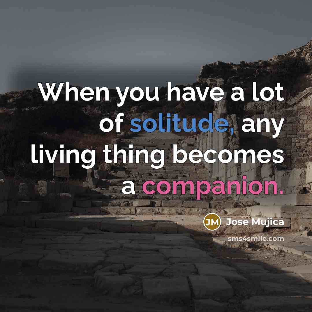 “When you have a lot of solitude, any living thing…” quote by Jose Mujica