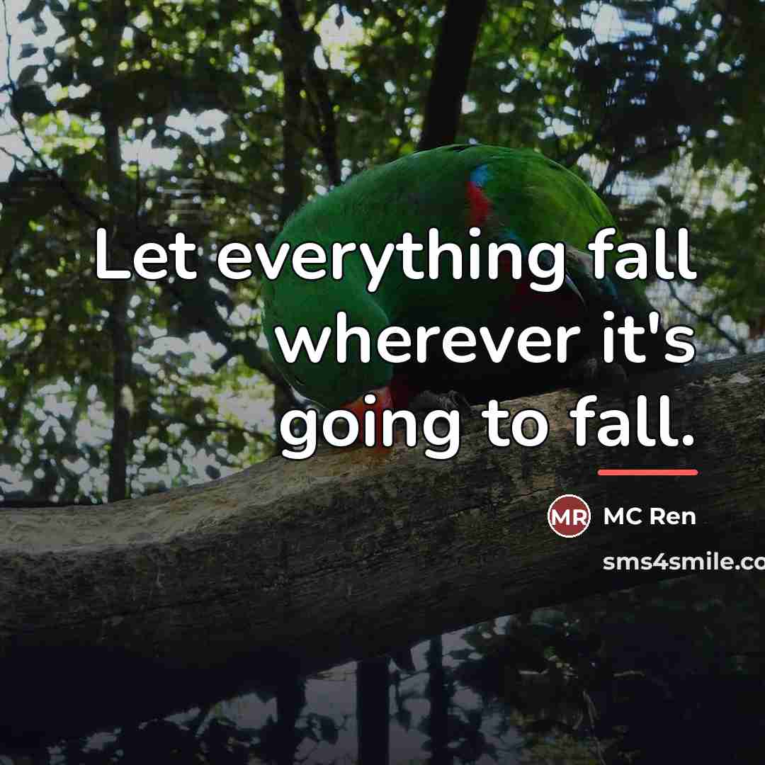 “Let everything fall wherever it's going to fall.…” quote by MC Ren