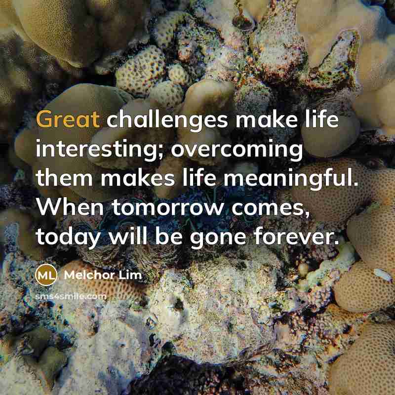 “Great challenges make life interesting; overcoming them makes life meaningful.…” quote by Melchor Lim