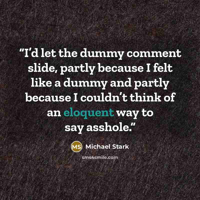 “I’d let the dummy comment slide, partly because I felt like a dummy and partly because I couldn’t think of an eloquent way to say asshole.” quote by Michael Stark