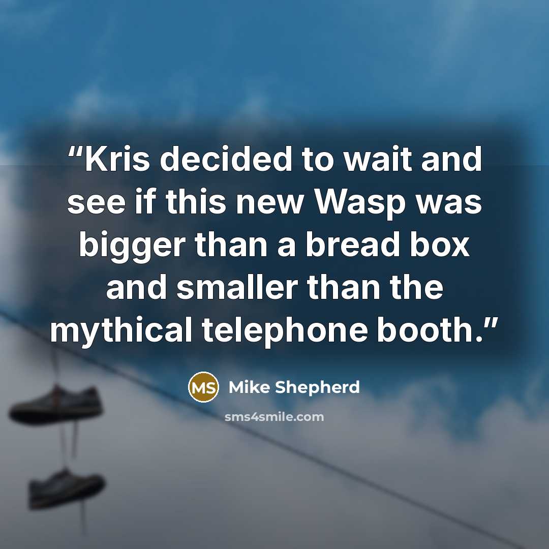 “Kris decided to wait and see if this new Wasp was bigger than a bread box and smaller than the mythical telephone booth.” quote by Mike Shepherd