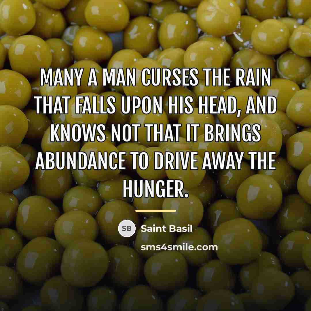“Many a man curses the rain that falls upon his…” quote by Saint Basil