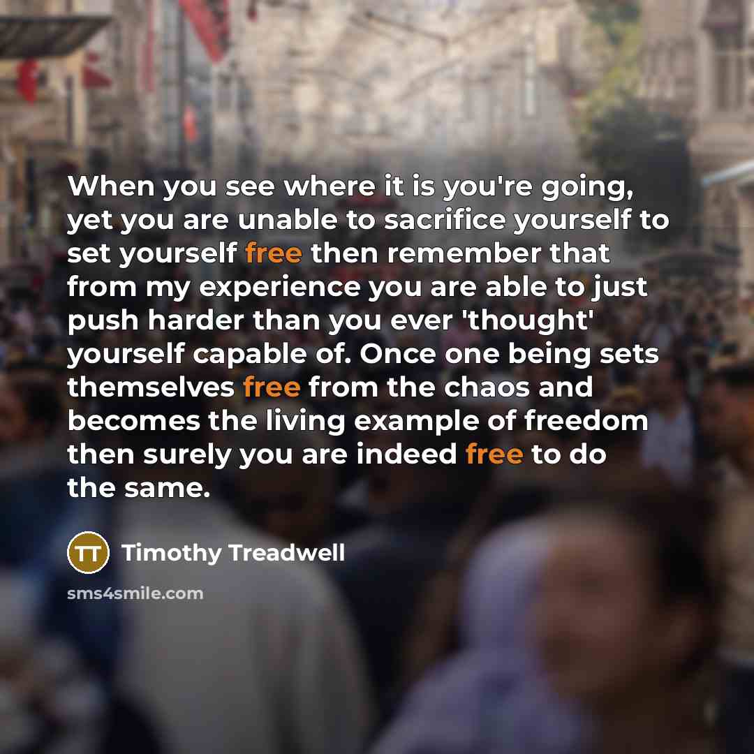 “When you see where it is you're going, yet you…” quote by Timothy Treadwell