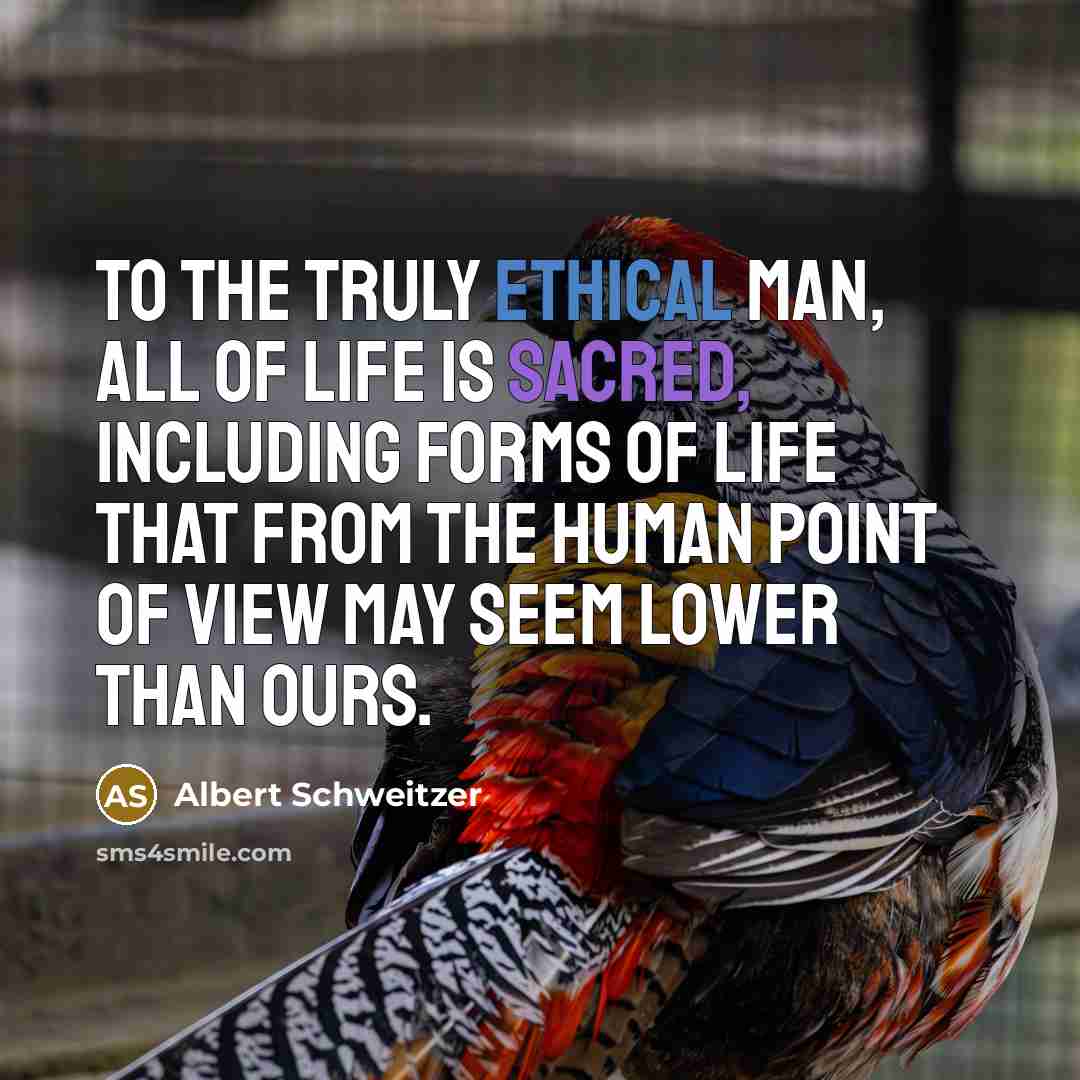 “To the truly ethical man, all of life is sacred,…” quote by Albert Schweitzer