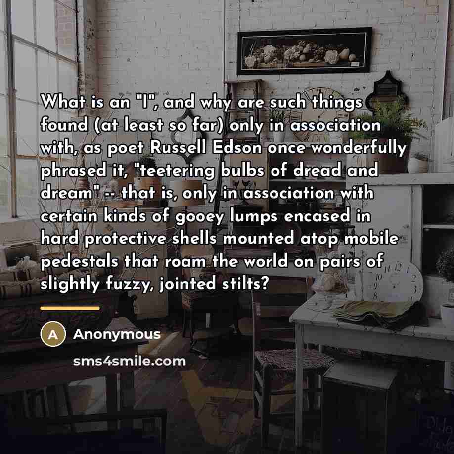 “What is an "I", and why are such things found…” quote by Anonymous