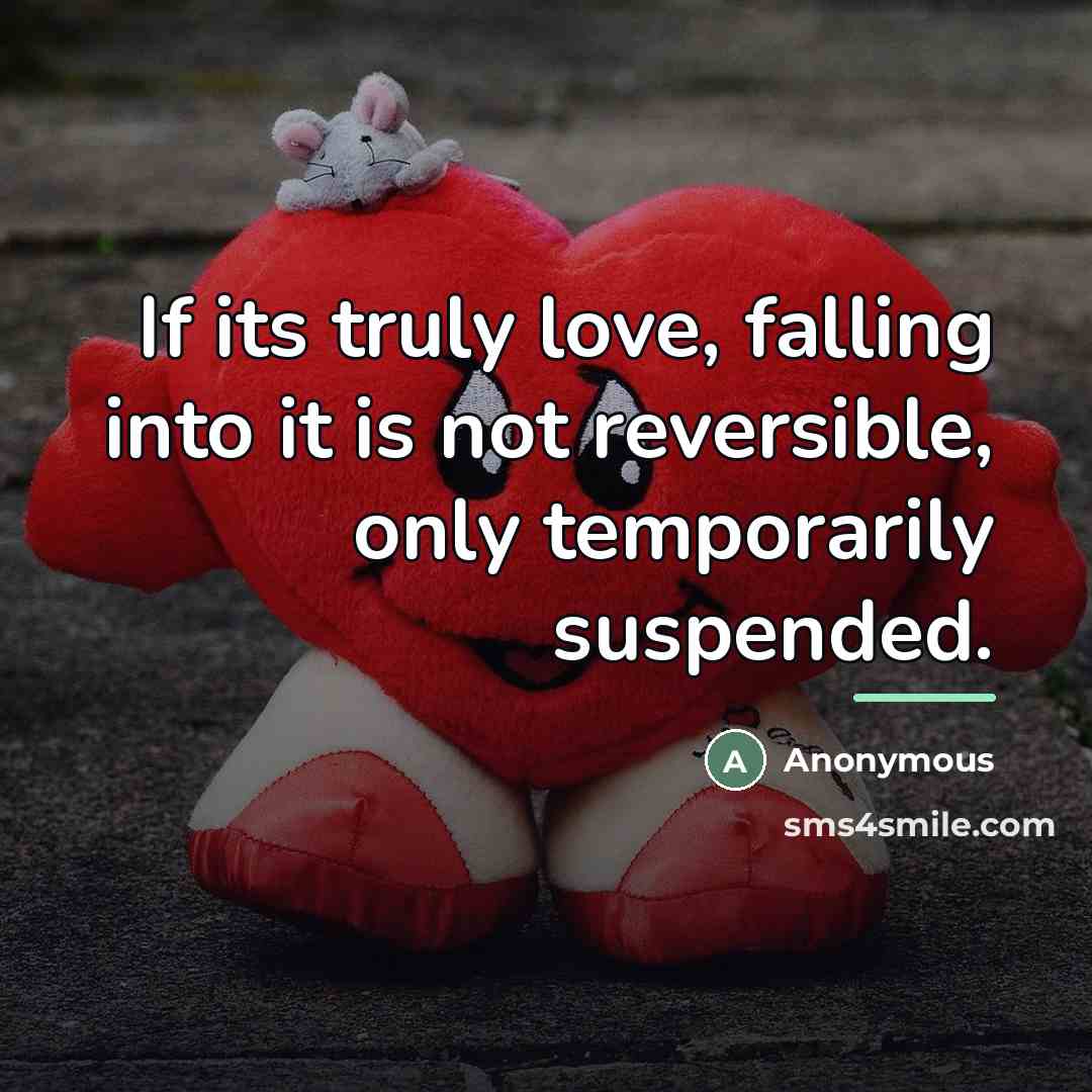 “If its truly love, falling into it is not reversible,…” quote by Anonymous
