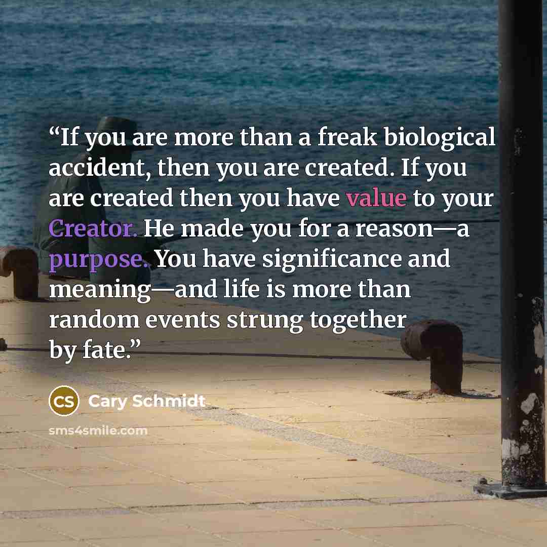 “If you are more than a freak biological accident, then you are created. If you are created then you have value to your Creator. He made you for a reason—a purpose. You have significance and meaning—and life is more than random events strung together by fate.” quote by Cary Schmidt
