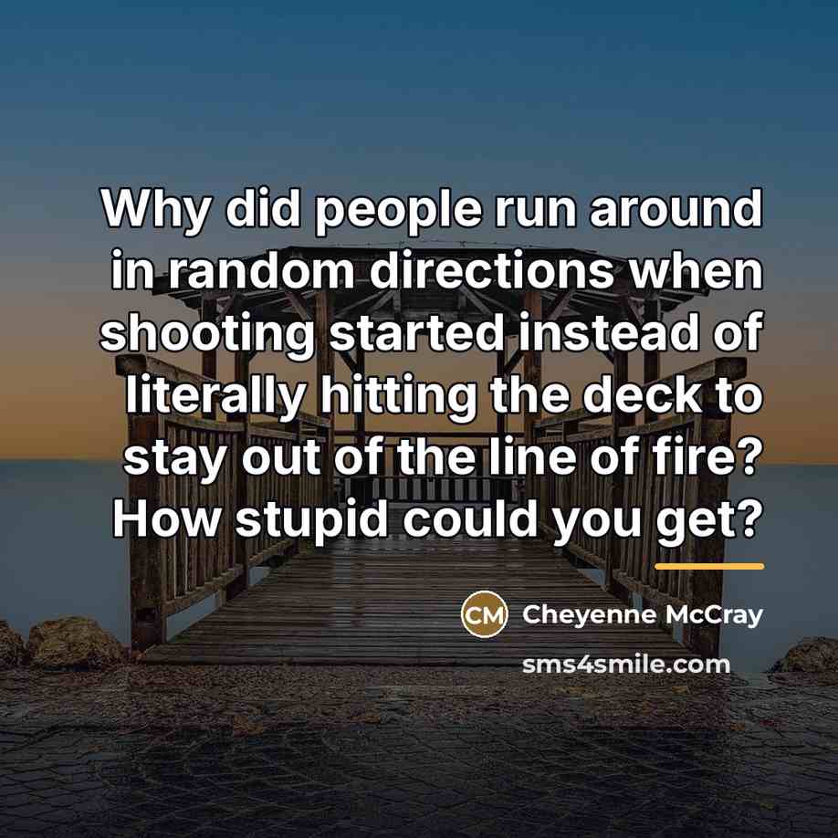 “Why did people run around in random directions when shooting…” quote by Cheyenne McCray