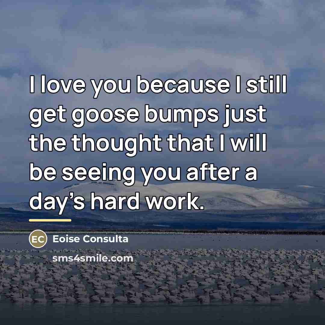 “I love you because I still get goose bumps just…” quote by Eoise Consulta