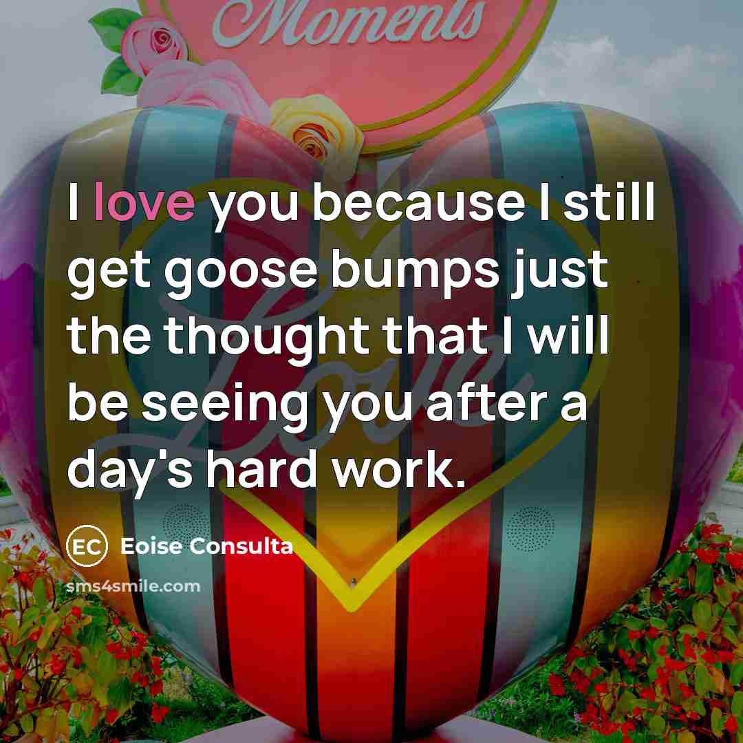 “I love you because I still get goose bumps just the thought that I will be seeing you after a day's hard work.” quote by Eoise Consulta