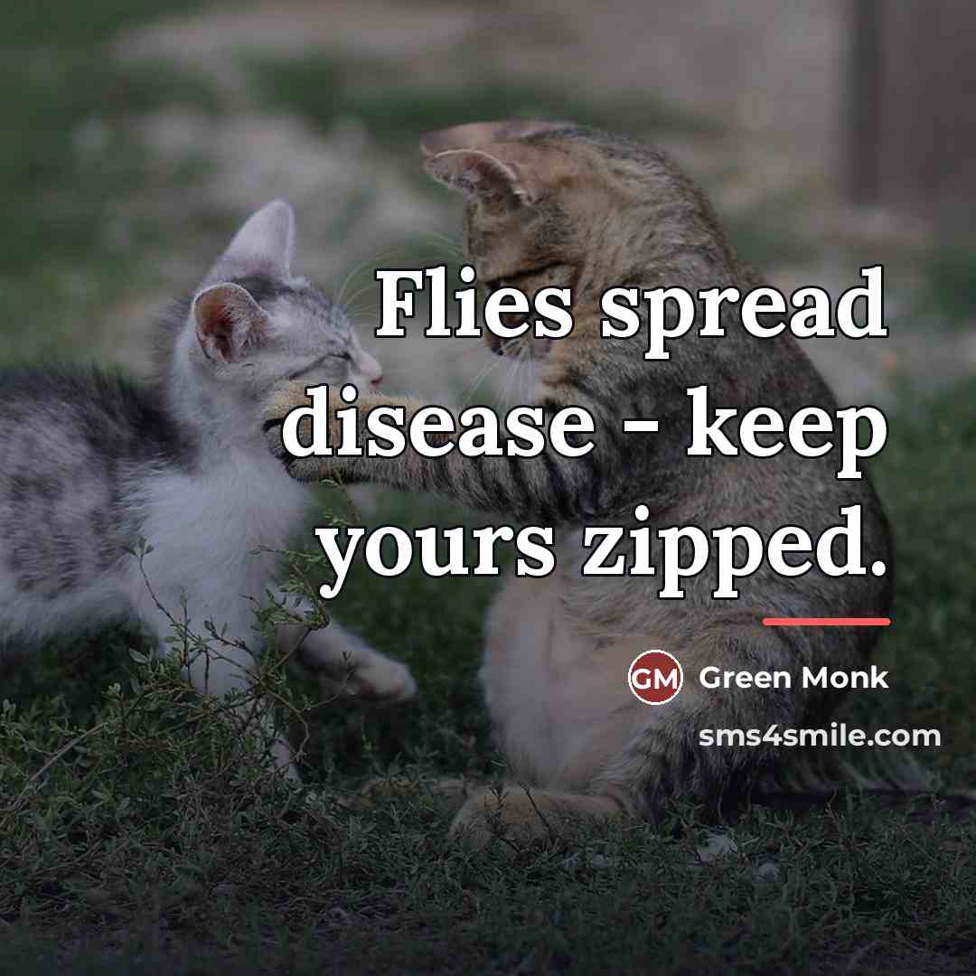 “Flies spread disease - keep yours zipped.…” quote by Green Monk