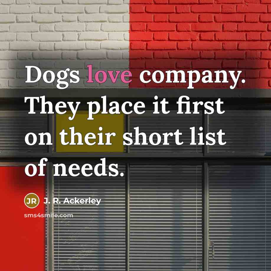“Dogs love company. They place it first on their short…” quote by J. R. Ackerley
