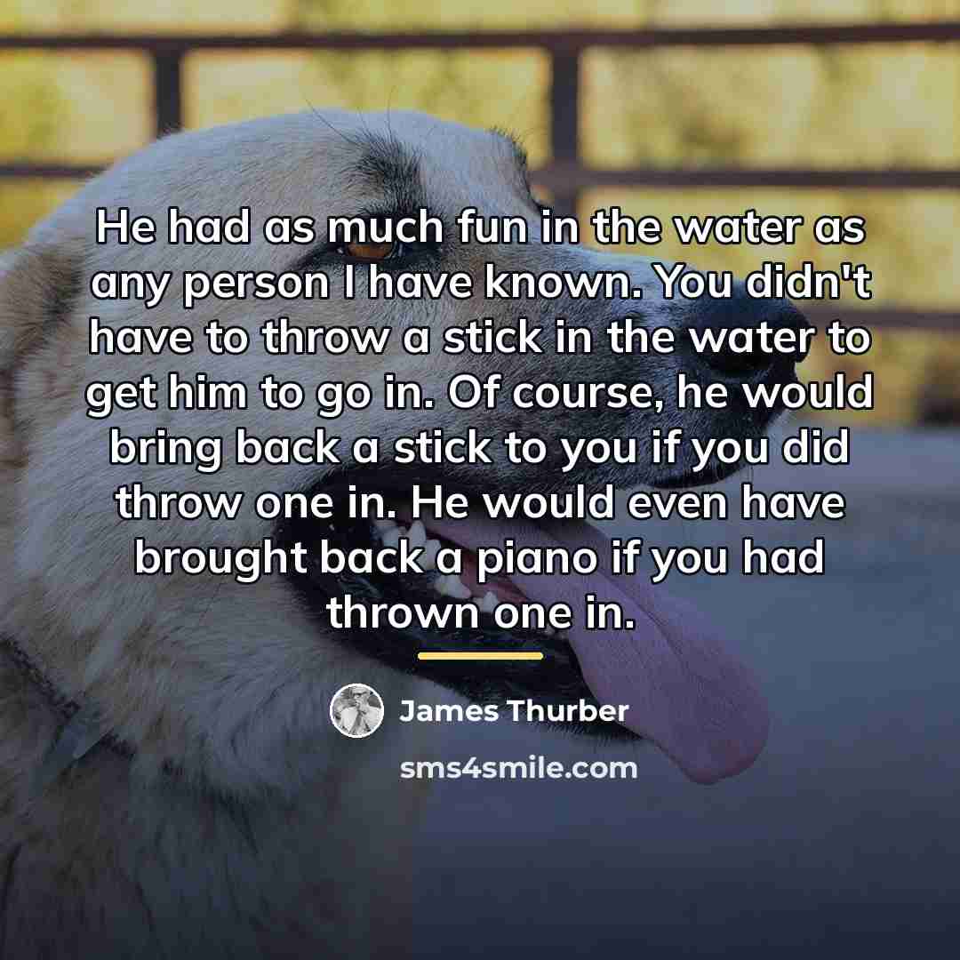 “He had as much fun in the water as any…” quote by James Thurber