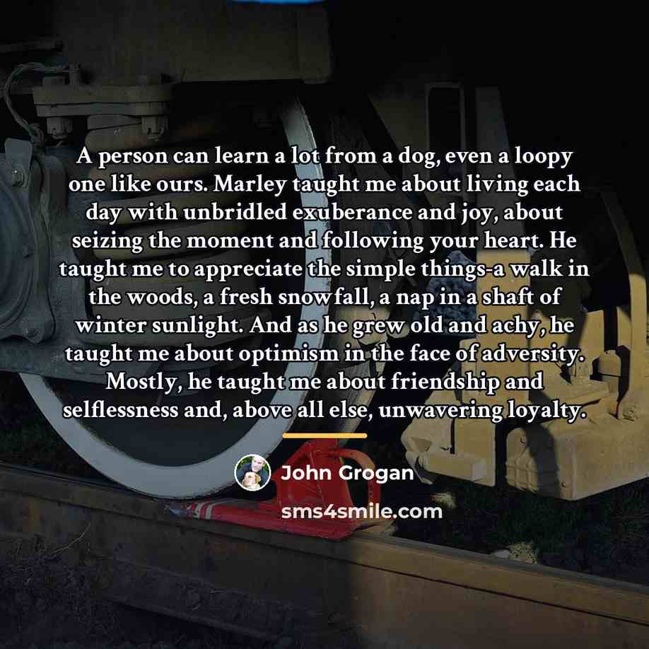 “A person can learn a lot from a dog, even…” quote by John Grogan