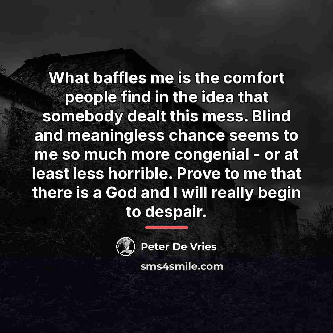 “What baffles me is the comfort people find in the…” quote by Peter De Vries
