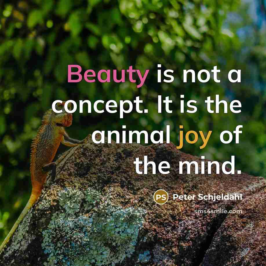 “Beauty is not a concept. It is the animal joy…” quote by Peter Schjeldahl