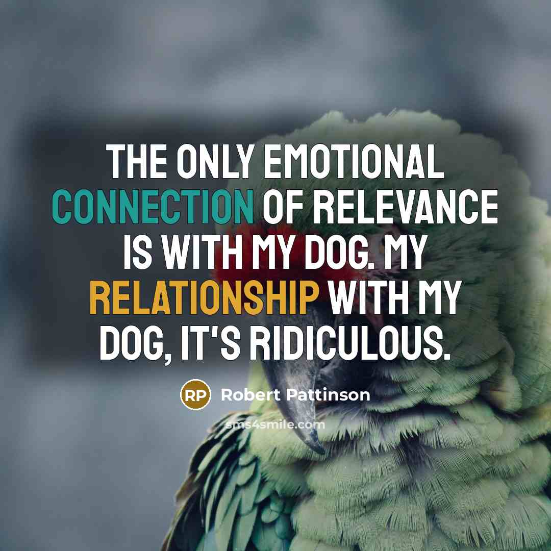 “The only emotional connection of relevance is with my dog. My relationship with my dog, it's ridiculous.” quote by Robert Pattinson