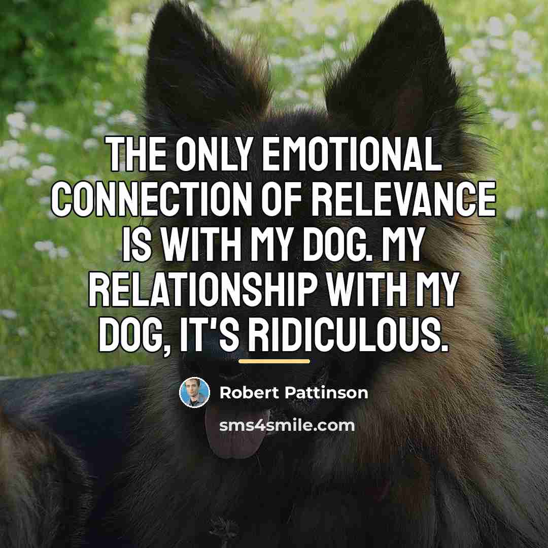 “The only emotional connection of relevance is with my dog.…” quote by Robert Pattinson
