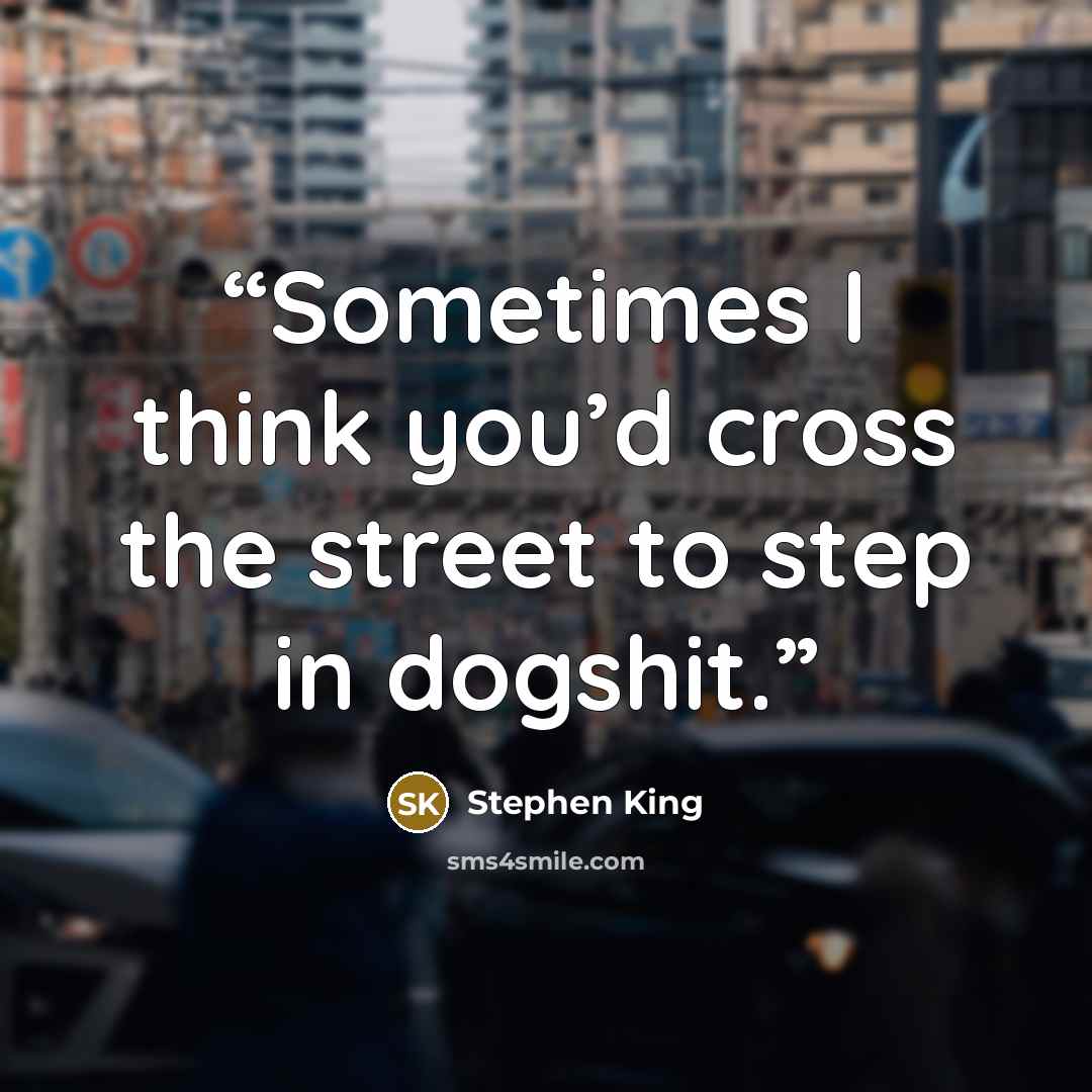 “Sometimes I think you’d cross the street to step in dogshit.” quote by Stephen King