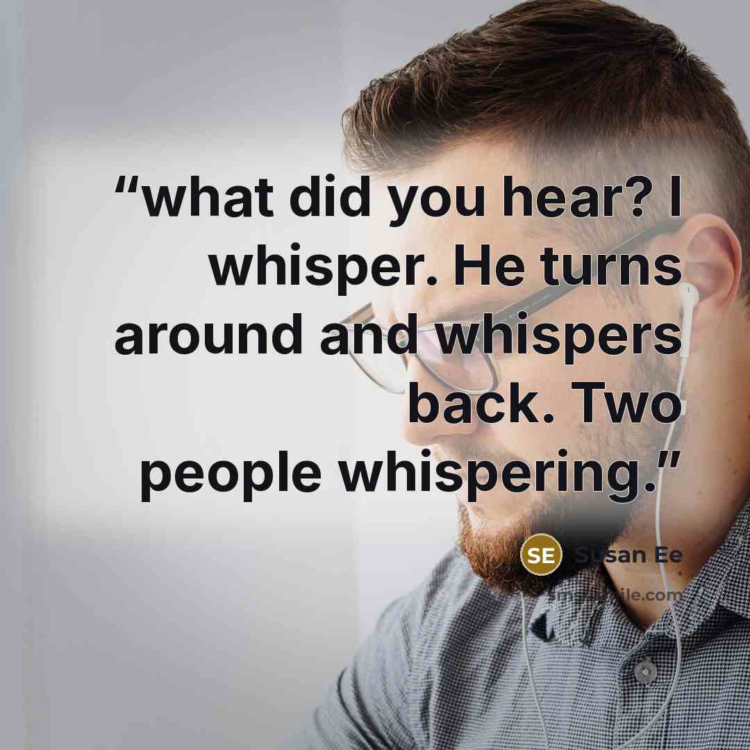 “what did you hear? I whisper. He turns around and whispers back. Two people whispering.” quote by Susan Ee