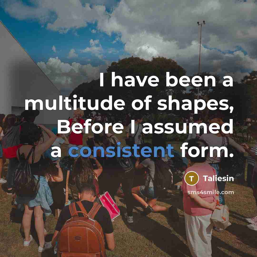 “I have been a multitude of shapes, Before I assumed…” quote by Taliesin