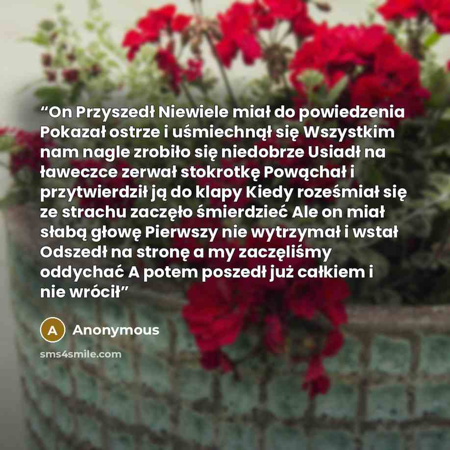 “On Przyszedł Niewiele miał do powiedzenia Pokazał ostrze i uśmiechnął się Wszystkim nam nagle zrobiło się niedobrze Usiadł na ławeczce zerwał stokrotkę Powąchał i przytwierdził ją do klapy Kiedy roześmiał się ze strachu zaczęło śmierdzieć Ale on miał słabą głowę Pierwszy nie wytrzymał i wstał…” quote by Anonymous