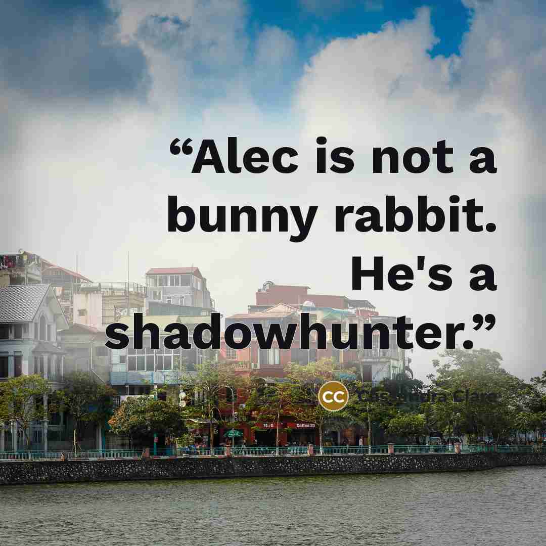 “Alec is not a bunny rabbit. He's a shadowhunter.” quote by Cassandra Clare