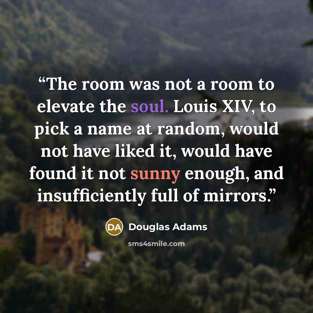 “The room was not a room to elevate the soul. Louis XIV, to pick a name at random, would not have liked it, would have found it not sunny enough, and insufficiently full of mirrors.” quote by Douglas Adams
